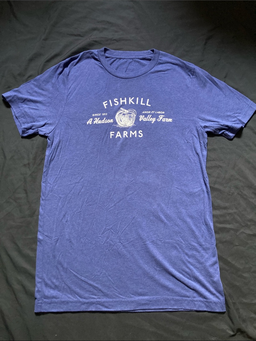 Fishkill Farms NY Tee Shirt Blue Apple Picking Hudson Valley Graphic Size Medium